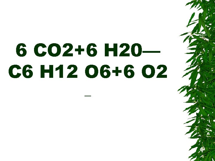6 CO 2+6 H 20— C 6 H 12 O 6+6 O 2 _