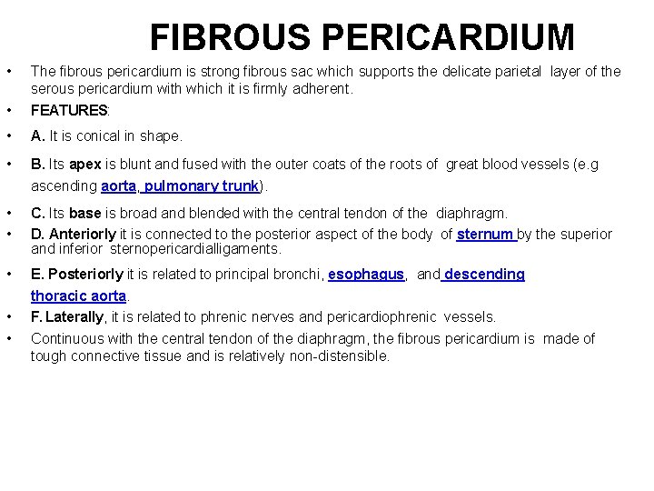 FIBROUS PERICARDIUM • • The fibrous pericardium is strong fibrous sac which supports the