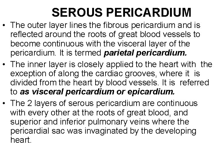 SEROUS PERICARDIUM • The outer layer lines the fibrous pericardium and is reflected around