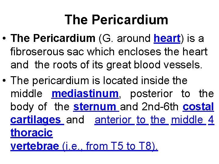 The Pericardium • The Pericardium (G. around heart) is a fibroserous sac which encloses