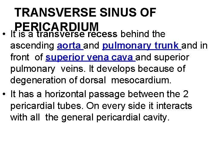 TRANSVERSE SINUS OF PERICARDIUM • It is a transverse recess behind the ascending aorta