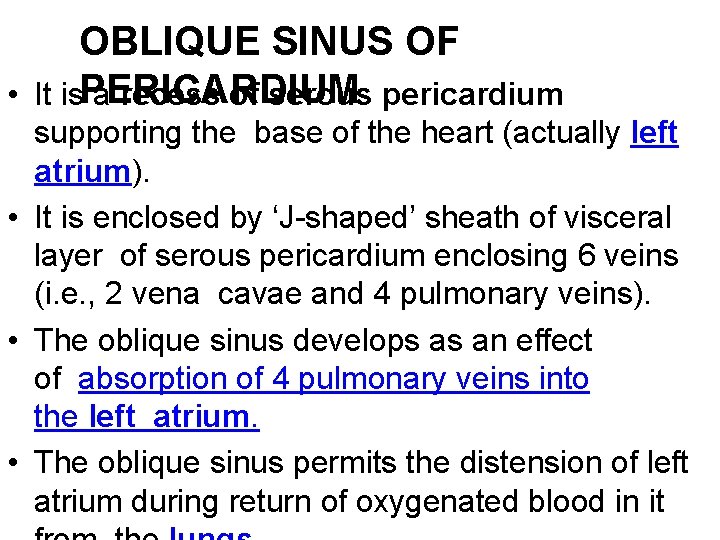 OBLIQUE SINUS OF • It is. PERICARDIUM a recess of serous pericardium supporting the
