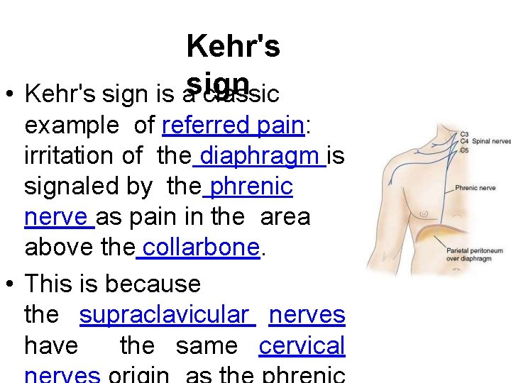 Kehr's • Kehr's sign is asign classic example of referred pain: irritation of the