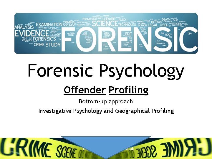 Forensic Psychology Offender Profiling Bottom-up approach Investigative Psychology and Geographical Profiling 