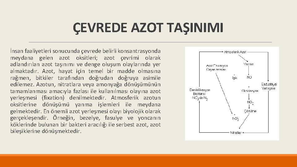 ÇEVREDE AZOT TAŞINIMI İnsan faaliyetleri sonucunda çevrede belirli konsantrasyonda meydana gelen azot oksitleri; azot