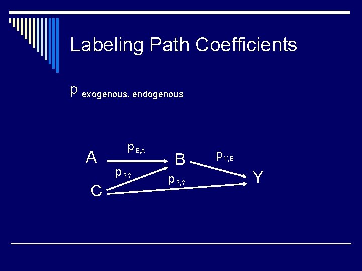 Labeling Path Coefficients p exogenous, endogenous A C p B, A p ? ,