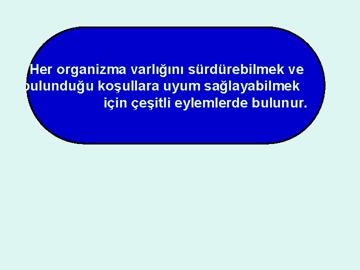 Her organizma varlığını sürdürebilmek ve bulunduğu koşullara uyum sağlayabilmek için çeşitli eylemlerde bulunur. 