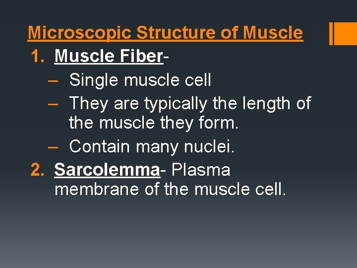 Microscopic Structure of Muscle 1. Muscle Fiber– Single muscle cell – They are typically