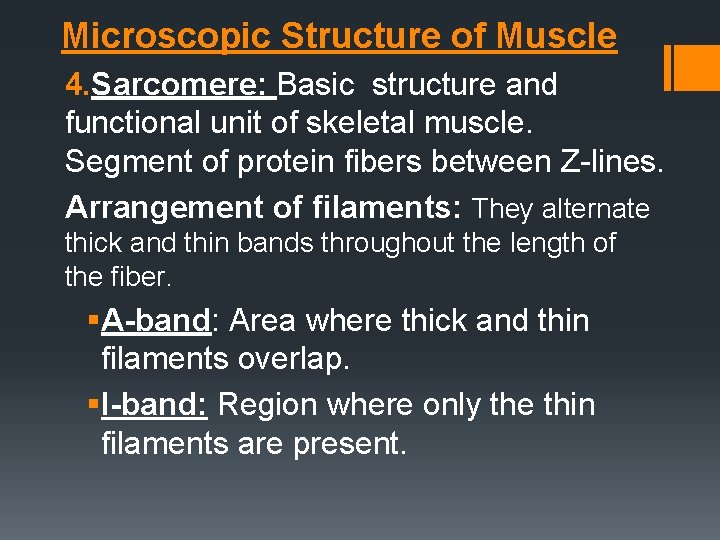 Microscopic Structure of Muscle 4. Sarcomere: Basic structure and functional unit of skeletal muscle.