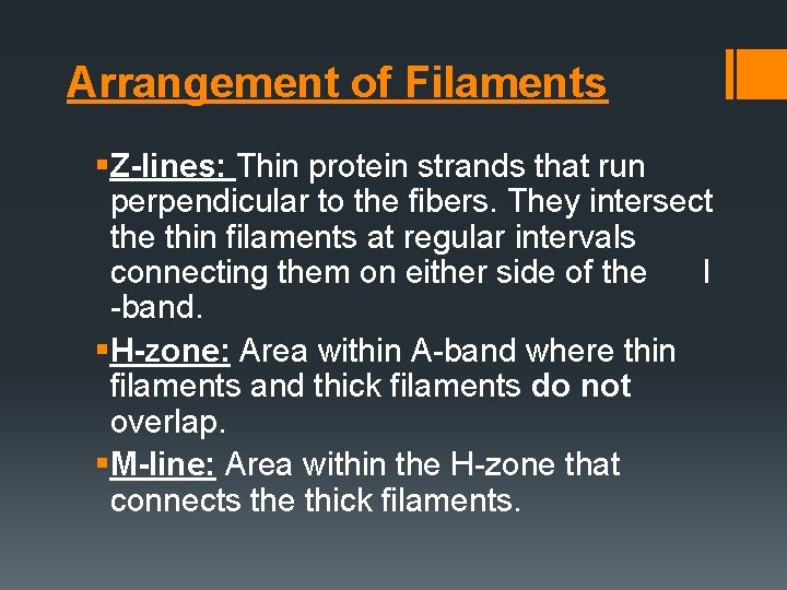 Arrangement of Filaments §Z-lines: Thin protein strands that run perpendicular to the fibers. They