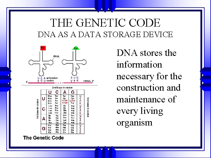 Dna Storage Codechef Ultra Scale High Density Hybrid DNA Memory Mohamad
