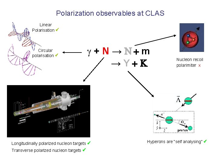 Polarization observables at CLAS Linear Polarisation Circular polarisation g+N→N+m →Y+ Longitudinally polarized nucleon targets
