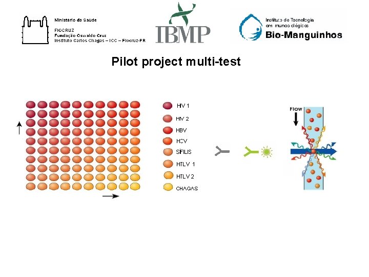 Pilot project multi-test 
