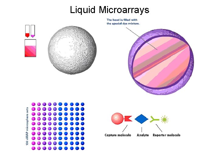 Liquid Microarrays 