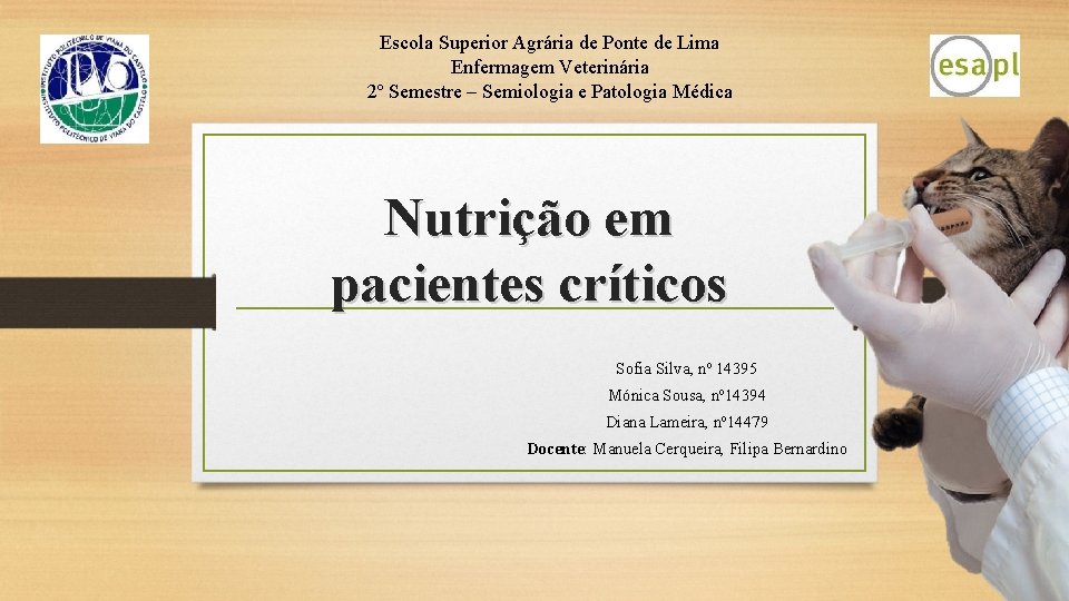 Escola Superior Agrária de Ponte de Lima Enfermagem Veterinária 2º Semestre – Semiologia e