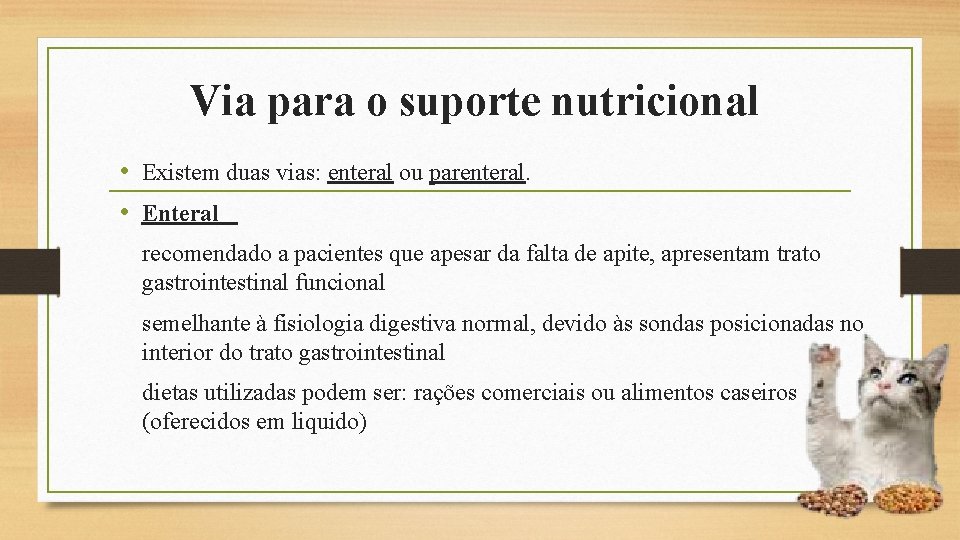 Via para o suporte nutricional • Existem duas vias: enteral ou parenteral. • Enteral