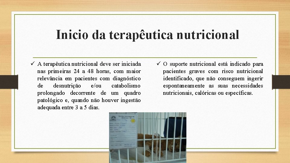 Inicio da terapêutica nutricional ü A terapêutica nutricional deve ser iniciada nas primeiras 24