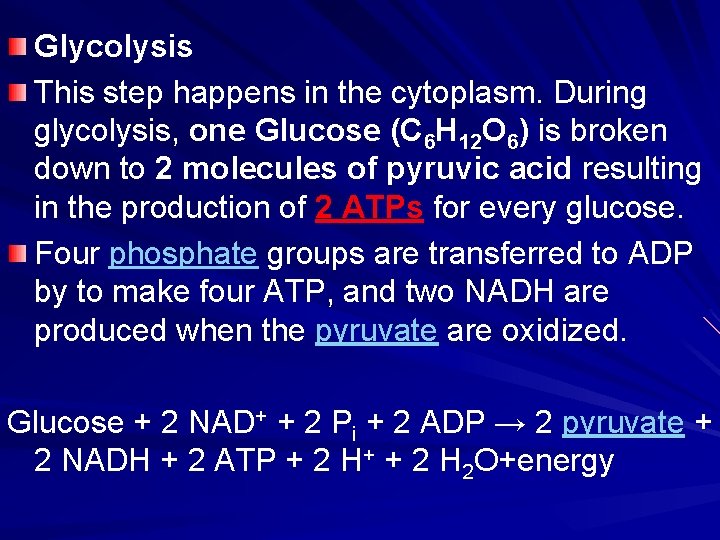 Glycolysis This step happens in the cytoplasm. During glycolysis, one Glucose (C 6 H