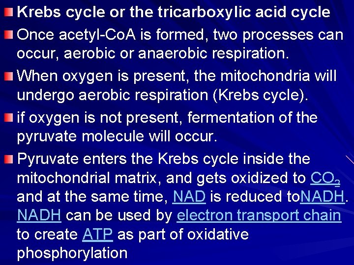 Krebs cycle or the tricarboxylic acid cycle Once acetyl-Co. A is formed, two processes