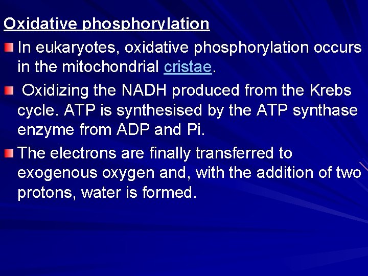 Oxidative phosphorylation In eukaryotes, oxidative phosphorylation occurs in the mitochondrial cristae. Oxidizing the NADH