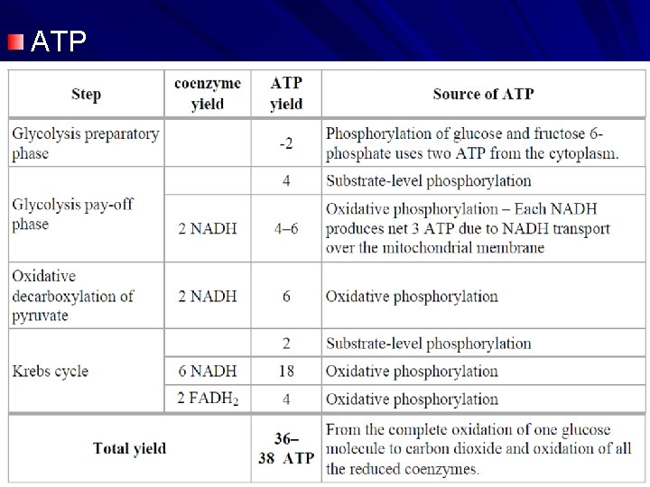 ATP 