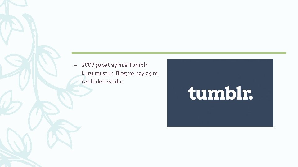 – 2007 şubat ayında Tumblr kurulmuştur. Blog ve paylaşım özellikleri vardır. 