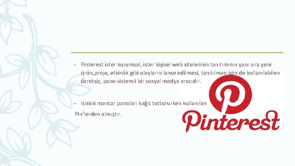 – Pinterest ister kurumsal, ister kişisel web sitelerinin tanıtımının yanı sıra yeni ürün, proje,