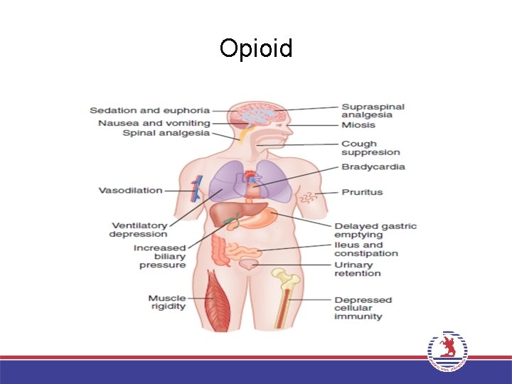 Opioid 