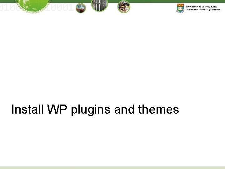 Install WP plugins and themes 