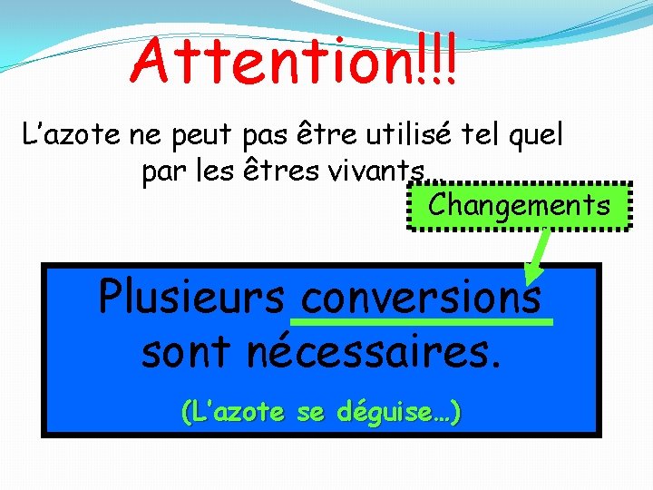 Attention!!! L’azote ne peut pas être utilisé tel quel par les êtres vivants… Changements