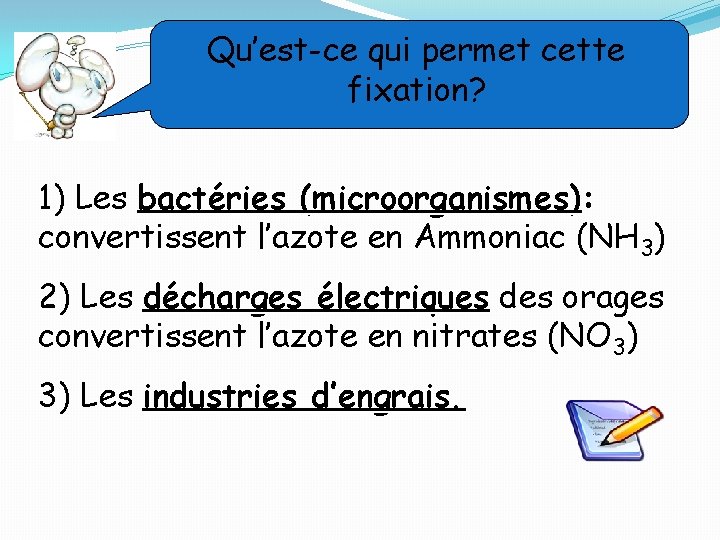 Qu’est-ce qui permet cette fixation? 1) Les bactéries (microorganismes): convertissent l’azote en Ammoniac (NH