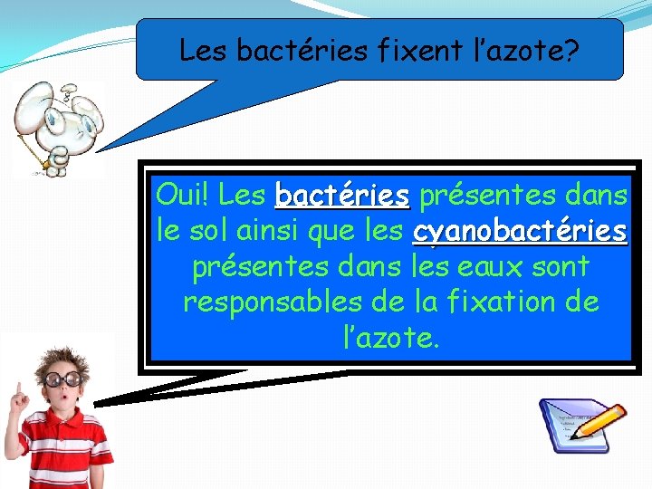 Les bactéries fixent l’azote? Oui! Les bactéries présentes dans le sol ainsi que les