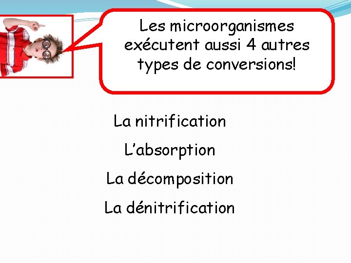 Les microorganismes exécutent aussi 4 autres types de conversions! La nitrification L’absorption La décomposition