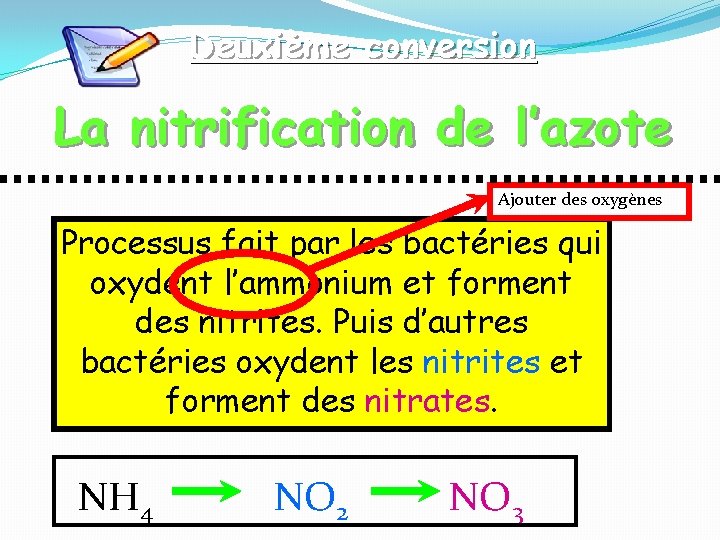 Deuxième conversion La nitrification de l’azote Ajouter des oxygènes Processus fait par les bactéries