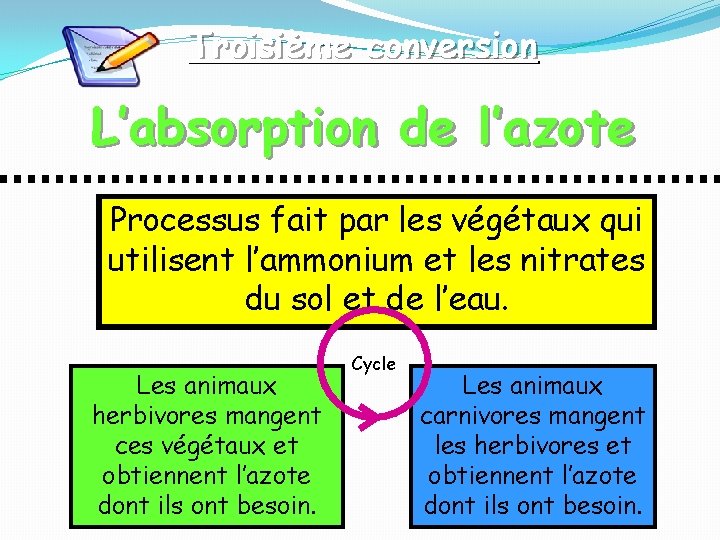 Troisième conversion L’absorption de l’azote Processus fait par les végétaux qui utilisent l’ammonium et