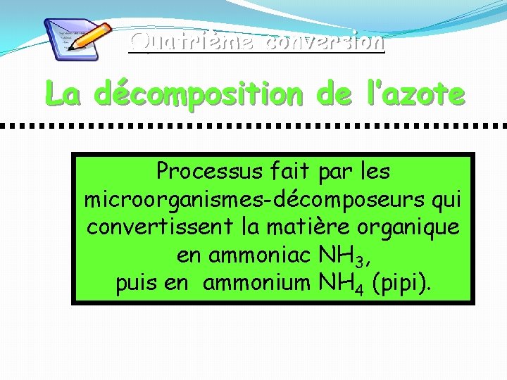 Quatrième conversion La décomposition de l’azote Processus fait par les microorganismes-décomposeurs qui convertissent la