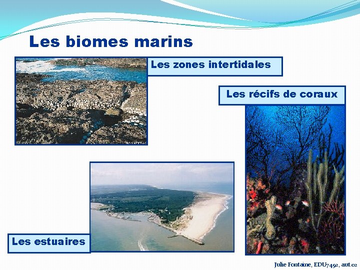 Les biomes marins Les zones intertidales Les récifs de coraux Les estuaires Julie Fontaine,