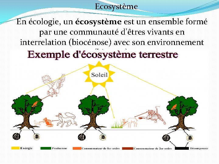 Ecosystème En écologie, un écosystème est un ensemble formé par une communauté d'êtres vivants