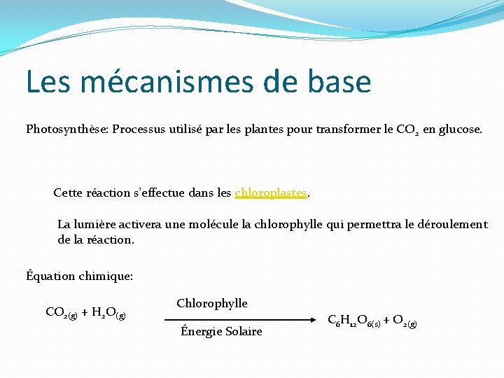 Les mécanismes de base Photosynthèse: Processus utilisé par les plantes pour transformer le CO
