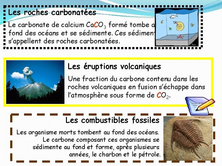 Les roches carbonatées Le carbonate de calcium Ca. CO 3 formé tombe au fond