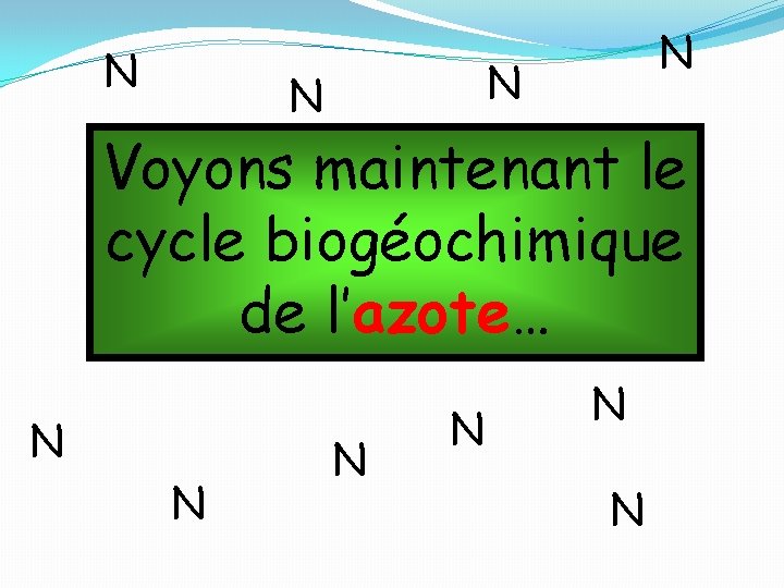 N N Voyons maintenant le cycle biogéochimique de l’azote… N N N 