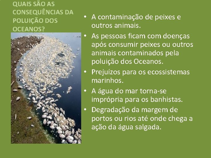 QUAIS SÃO AS CONSEQUÊNCIAS DA POLUIÇÃO DOS OCEANOS? • A contaminação de peixes e