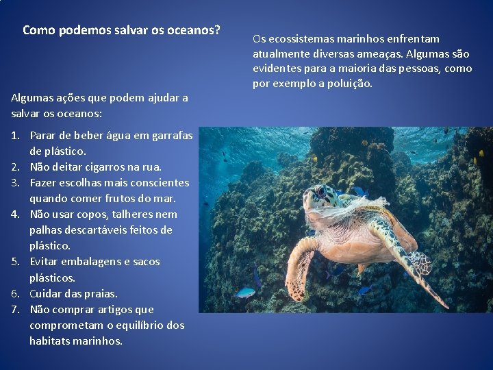 Como podemos salvar os oceanos? Algumas ações que podem ajudar a salvar os oceanos: