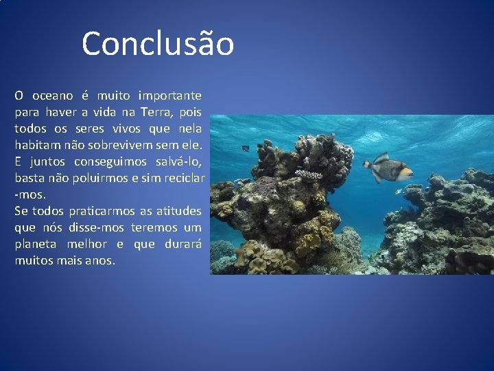 Conclusão O oceano é muito importante para haver a vida na Terra, pois todos