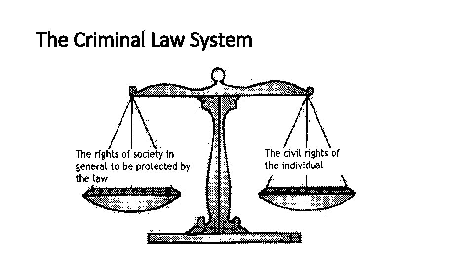 The Criminal Law System 