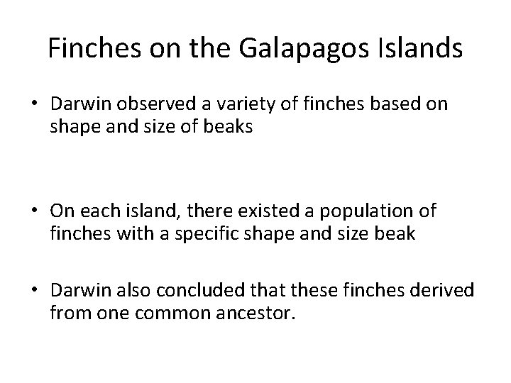 Finches on the Galapagos Islands • Darwin observed a variety of finches based on