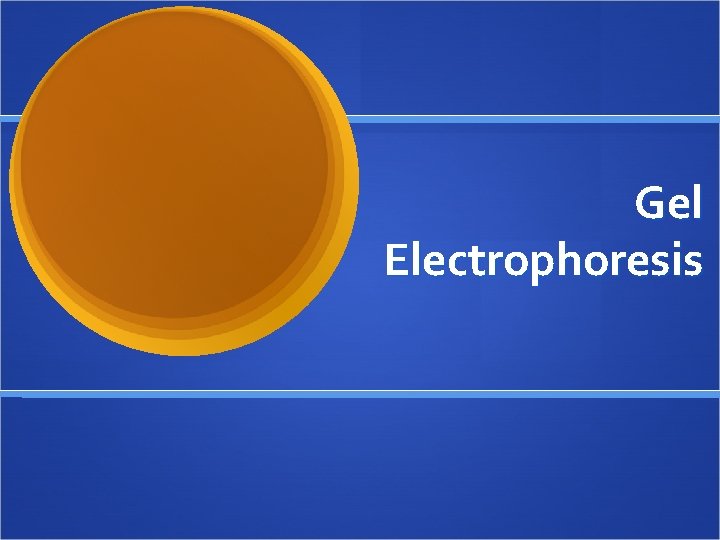 Gel Electrophoresis 