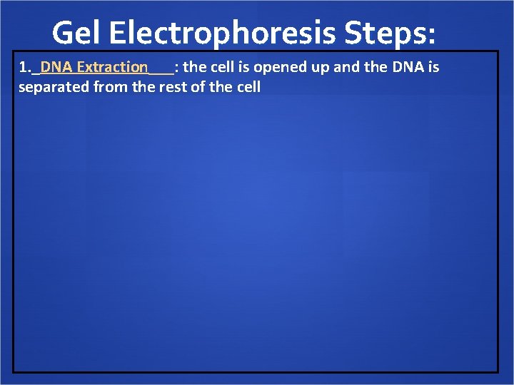 Gel Electrophoresis Steps: 1. _DNA Extraction___: the cell is opened up and the DNA