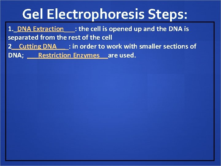 Gel Electrophoresis Steps: 1. _DNA Extraction___: the cell is opened up and the DNA