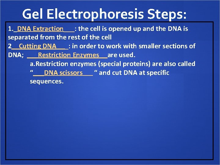 Gel Electrophoresis Steps: 1. _DNA Extraction___: the cell is opened up and the DNA